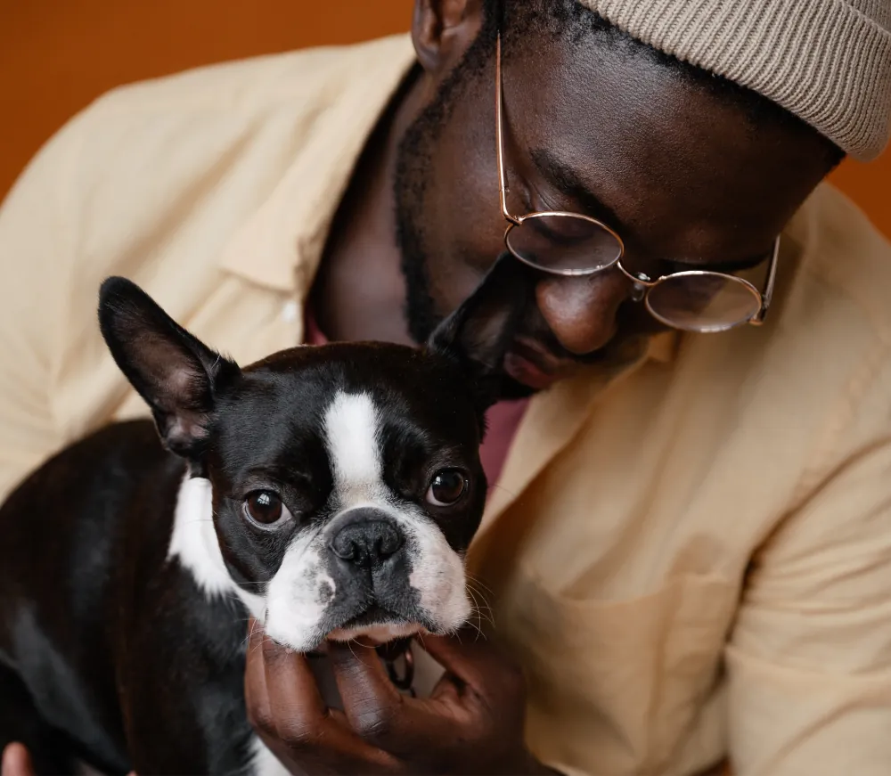 Potty training a puppy