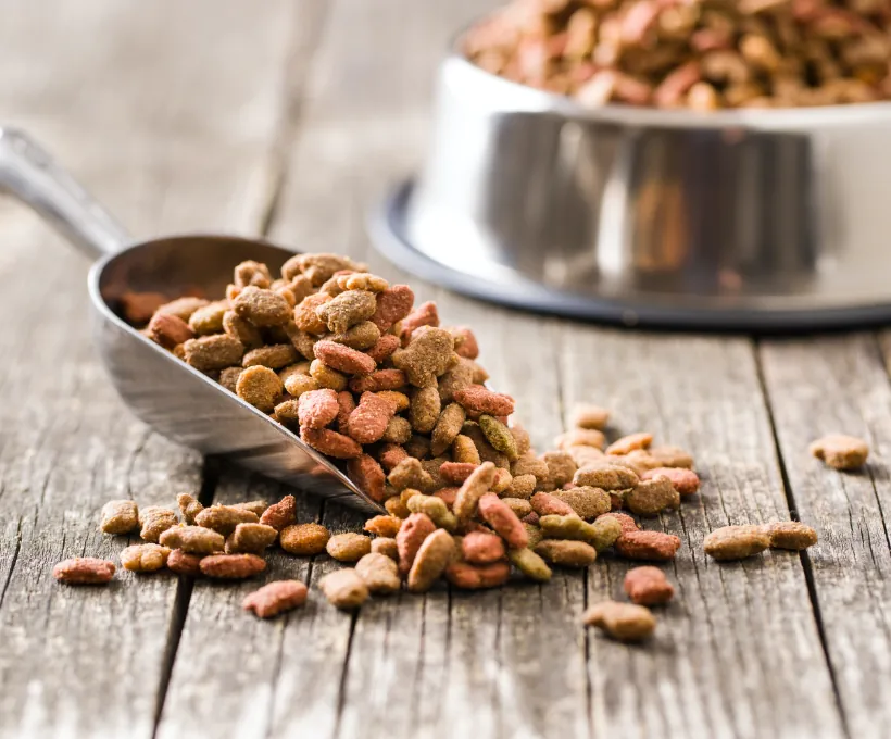 5 Best Puppy Food: Top-Rated Options for Healthy Growth 1 Best Puppy Food