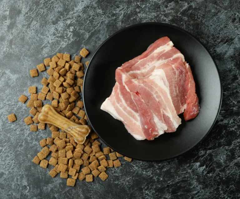 dog food