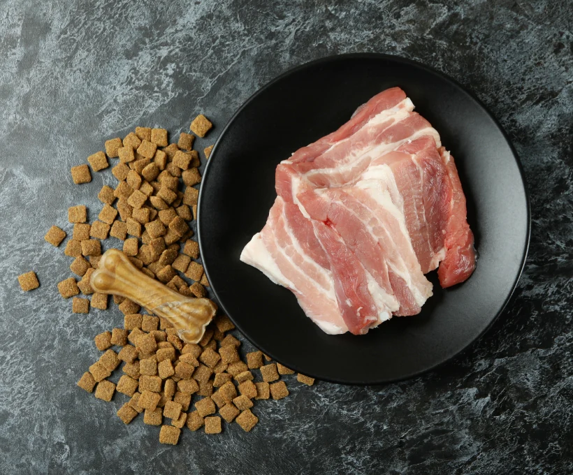 dog food