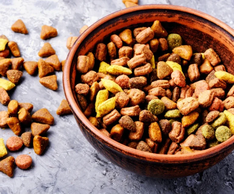 Puppy food