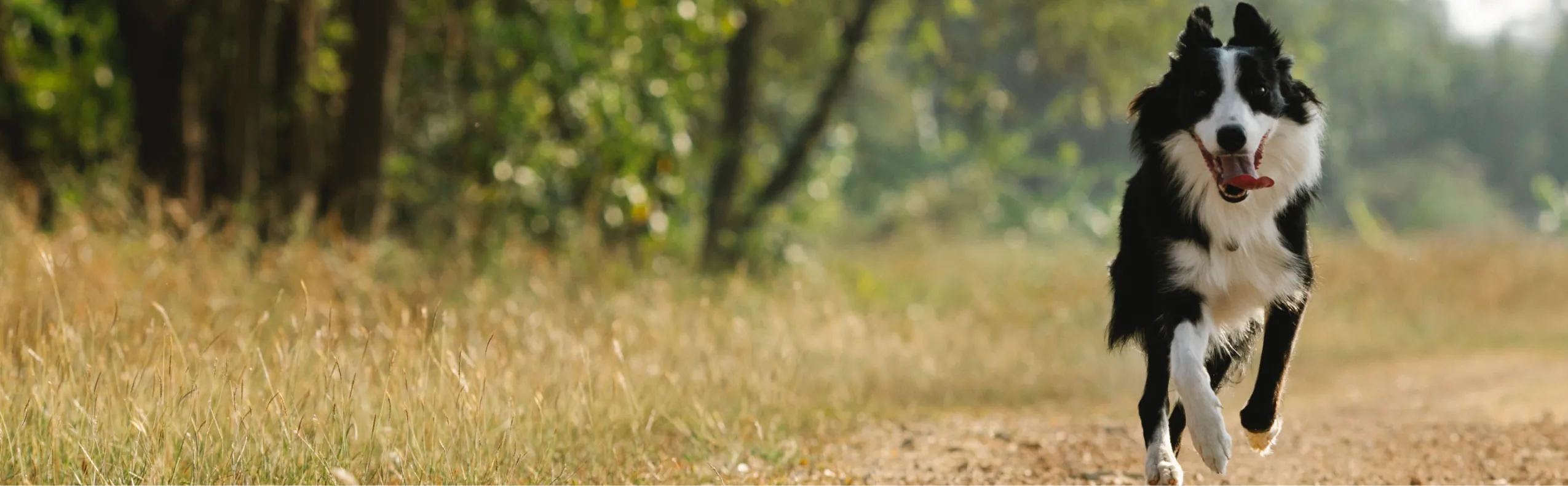 cta cover image optimized