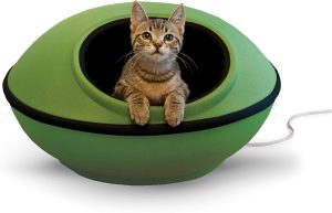 Seasonal Care for Pets