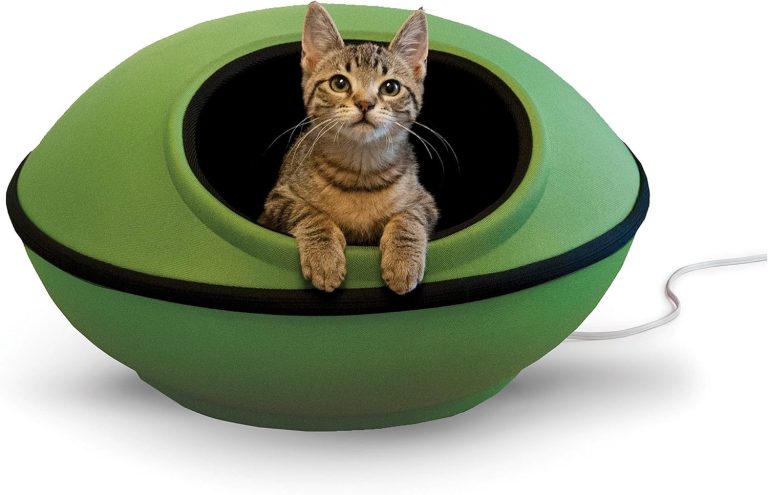 Seasonal Care for Pets
